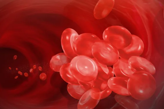 A graphic depicting red blood cells inside a blood vessel in the body