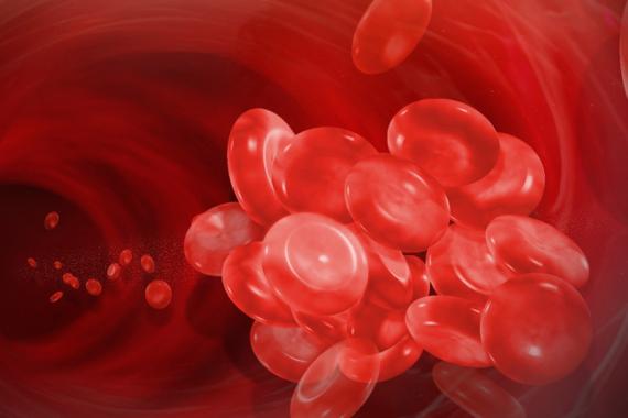 A graphic depicting red blood cells inside a blood vessel in the body