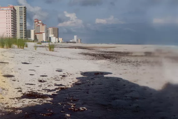 A beach with white sand that appears polluted with large areas of dark oil. A few tall city buildings are on the left in the background
