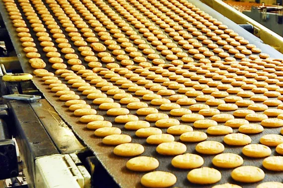 Hundreds of round yellow disks on a conveyor belt in a food production line. The discs look like butter crowded together in rows and lines