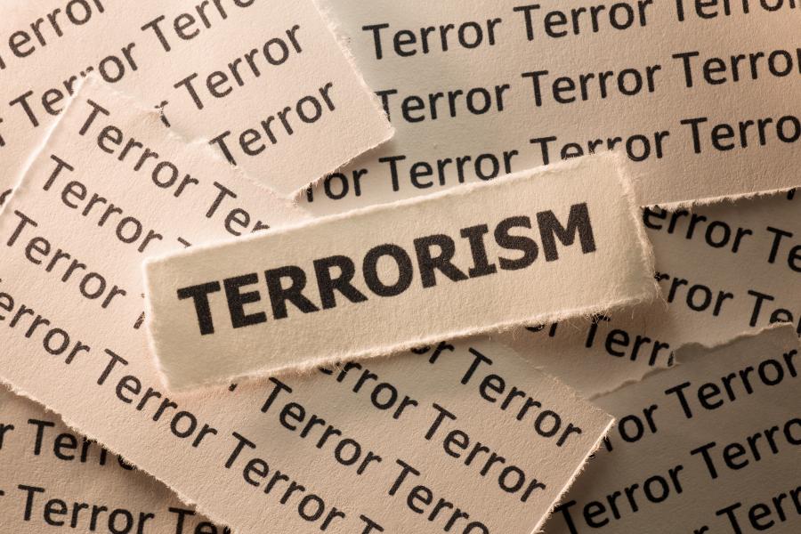 Terrorism text